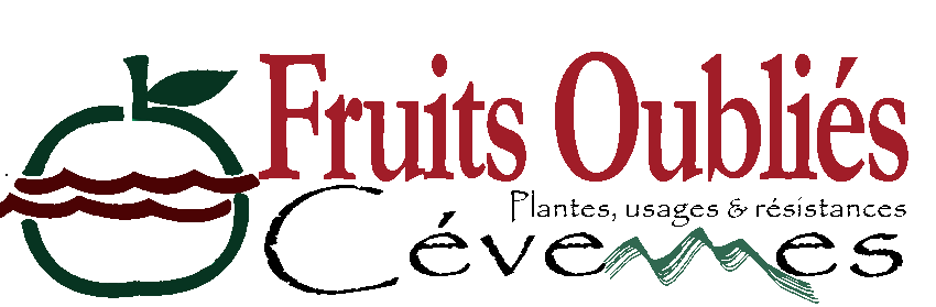 bandeau fruits oiubliés cévennes